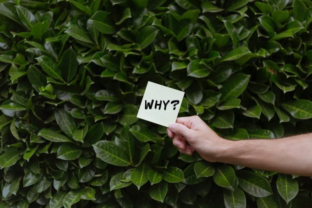 Trovare la propria reason why, come consigliato da Seth Godin